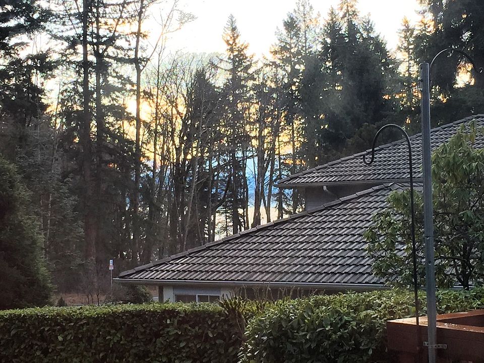 Mt Rainer from Living room