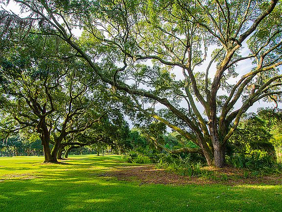 3rd image of 166 Kiawah Island Club Dr