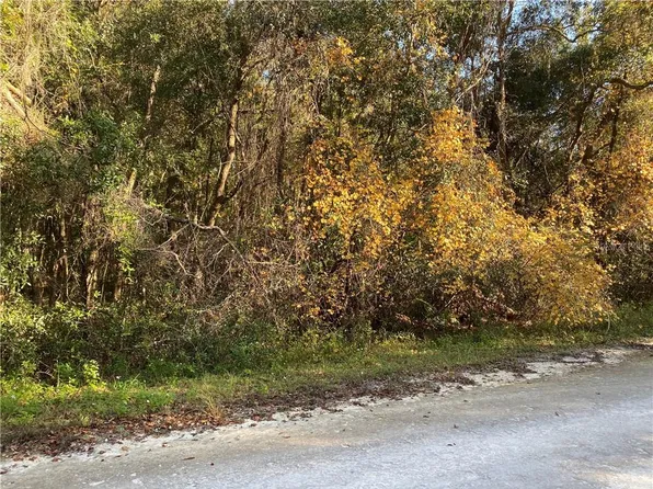 Medicine Stone Dr, Webster, FL 33597