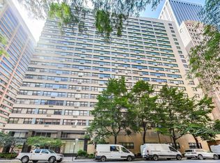 850 N Dewitt Pl APT 20A, Chicago, IL 60611