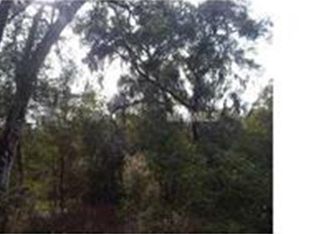 E Spring St, DE LEON SPRINGS, FL 32130