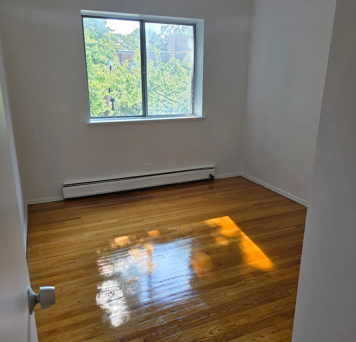 2 bed, 1000 sqft, $1,525 — Photo 3