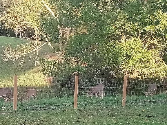 2nd image of 18406 Stanaford Rd