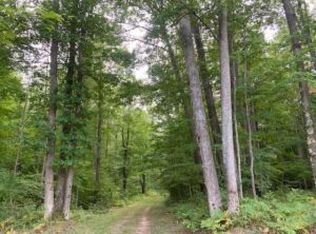 3596 W Scott Rd, Ossineke, MI 49766