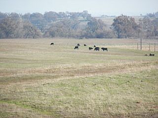 2nd image of 13635 Clay Station Rd