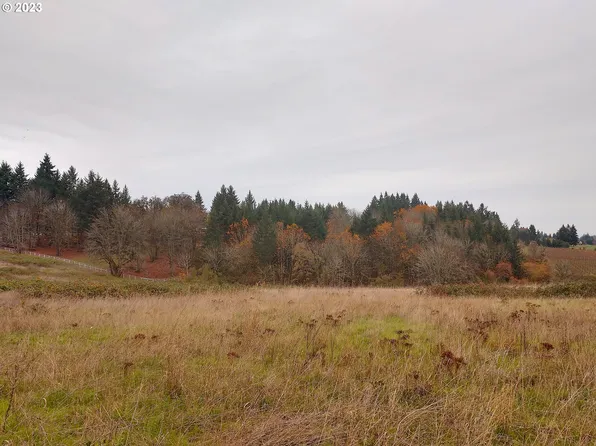 0 SE Walnut Hill Rd, Amity, OR 97101