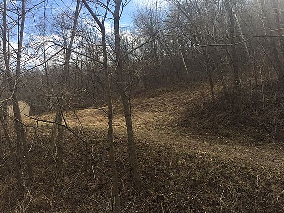 Some trees removed/leveled