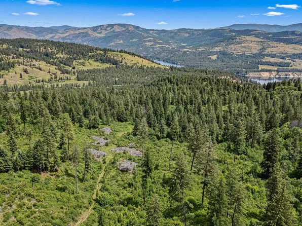 Nna Silver Creek Rd, Inchelium, WA 99138