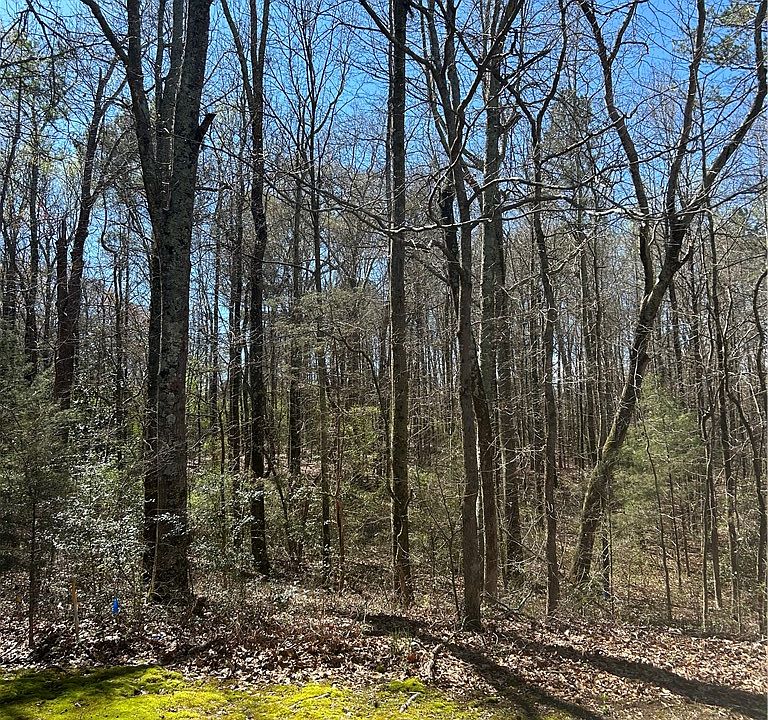 2nd image of 0 Harts Mill Rd