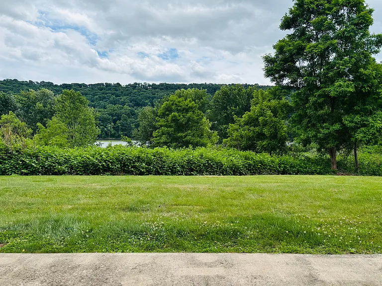 view from back patio