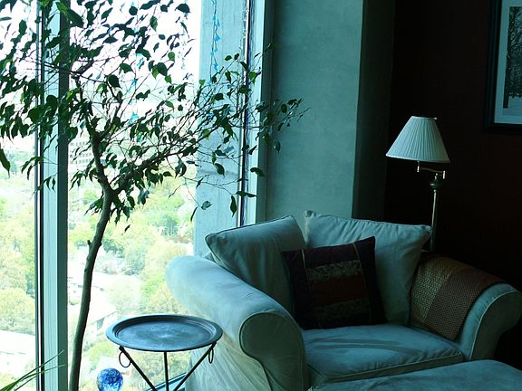 Floor to ceiling windows