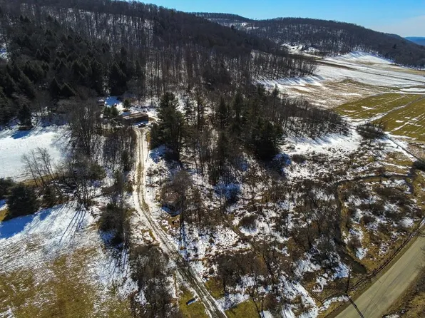 2454 Eleven Mile Rd, Shinglehouse, PA 16748