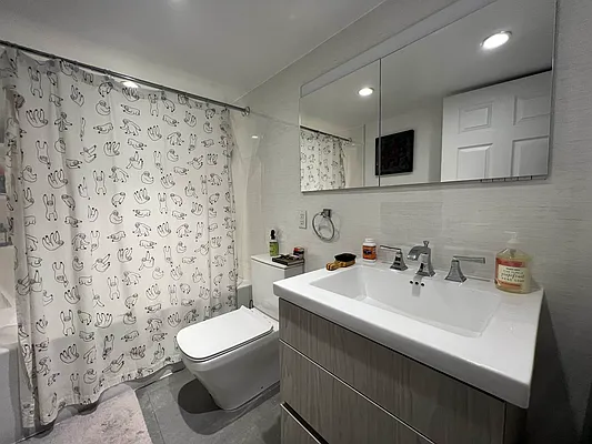 Rented by AZ REALTY NYC LLC | media 13