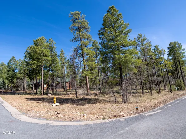 2527 Cedar Pine Ln, Lakeside, AZ 85929