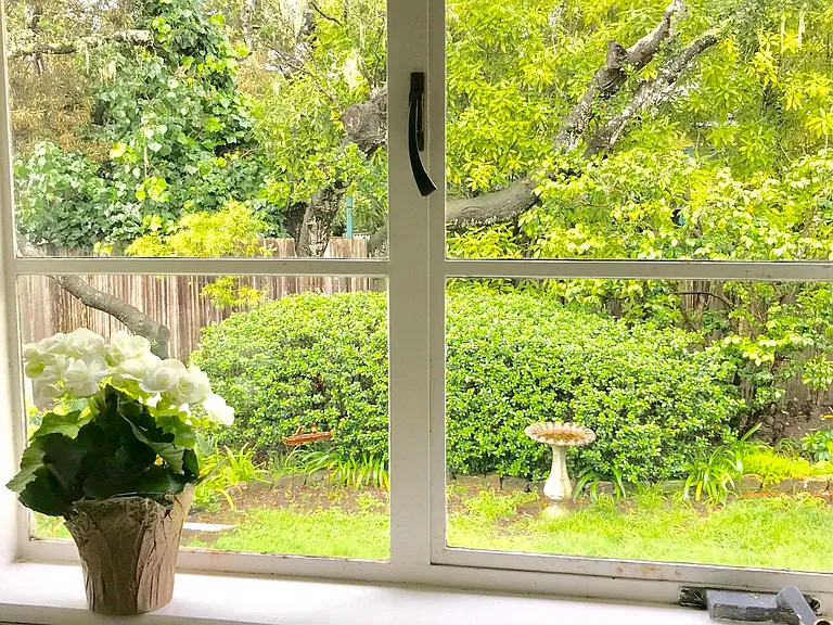 Backyard view outside kitchen window