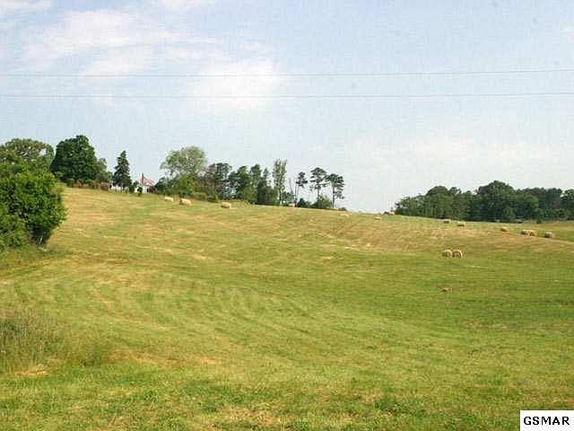 1st image of 8 Forgety Rd #8