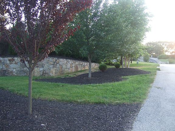 Front Side Yard