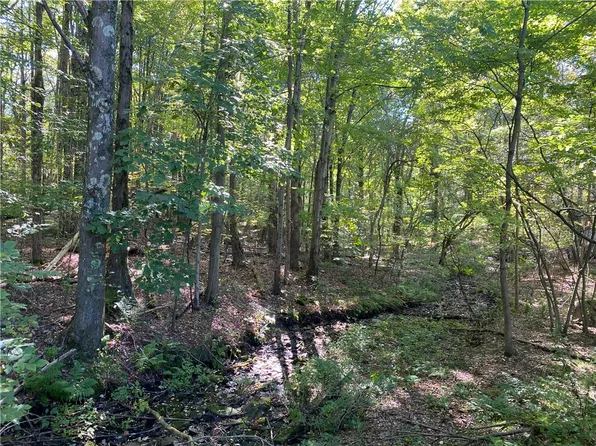 0 Carlyn Dr, Saegertown, PA 16433