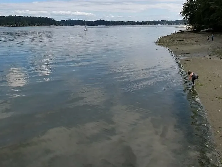 Illahee State Park: Beaches, hiking trails, picnicking, 10 minute drive
