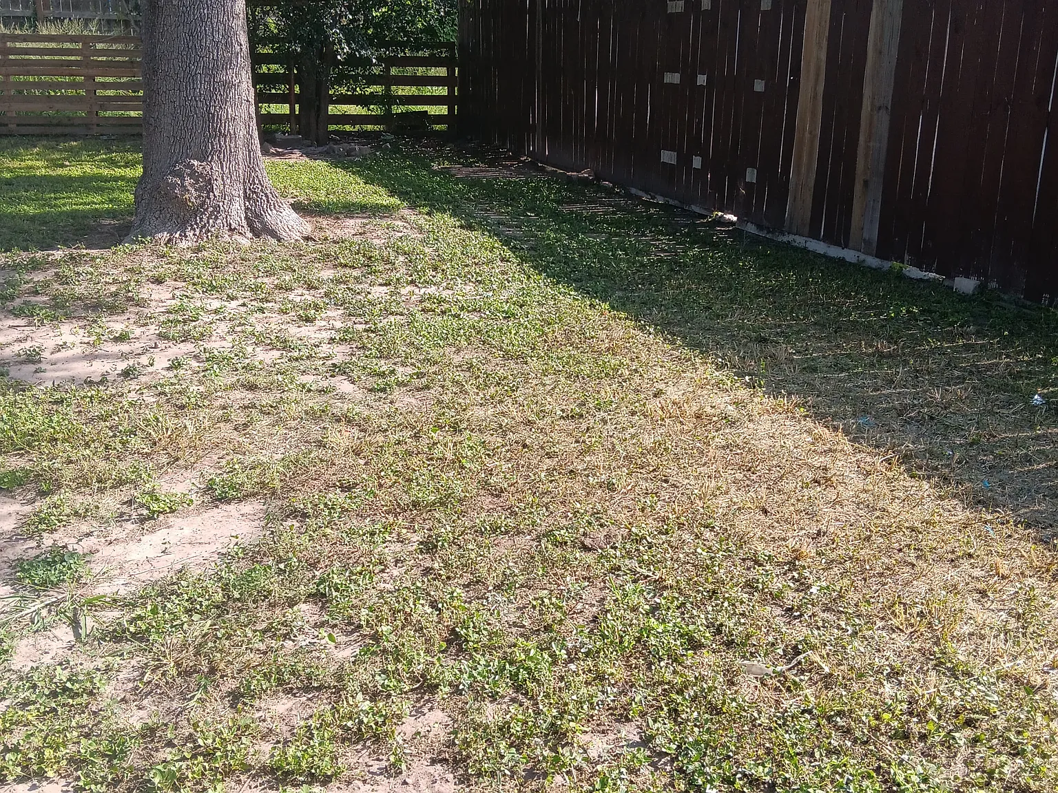 3 bed, 1056 sqft, $1,250 — Photo 3