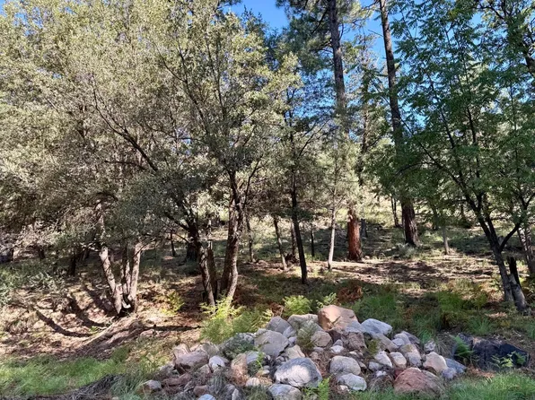 165 W BURNT POINT Trail #1, Payson, AZ 85541