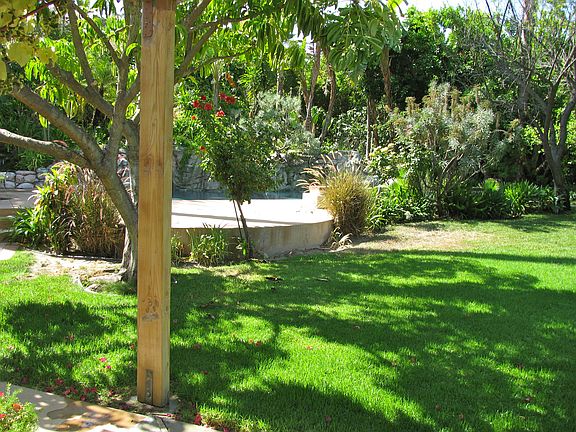 Back yard with view toward pool