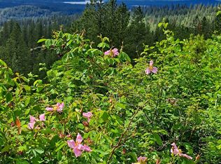 N Nicolle Ln, Chattaroy, WA 99003