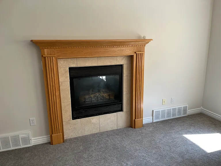 Electric Fireplace