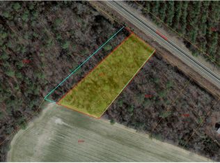 LOT 4 State Highway 55 W, Seven Springs, NC 28578