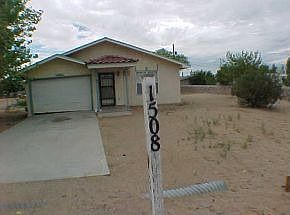 1st image of 1508 Cactus Wren