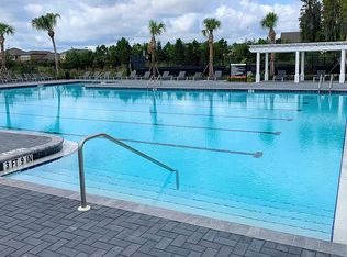 32828 Pez Landing Ln, Wesley Chapel, FL 33543