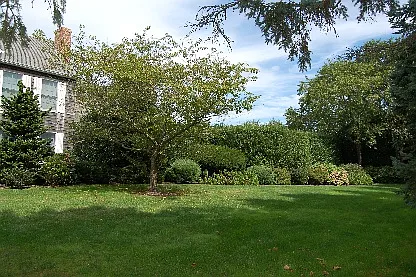 Pauls Ln — Photo 15