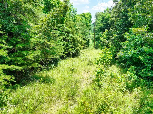 1 Ditney Hill Rd, Drakesboro, KY 42337