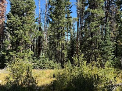 LOT 52 Springboard Trl, Oak Creek, CO, 80467