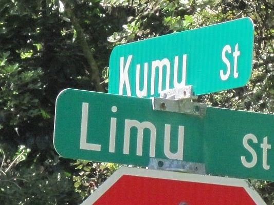 2nd image of Kumu St Lot 10