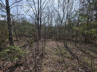 11302 Summer City Rd, Spring City, TN 37381