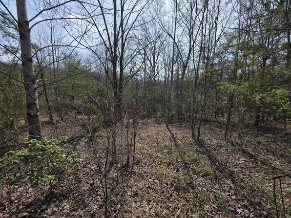 11302 Summer City Rd, Spring City, TN 37381