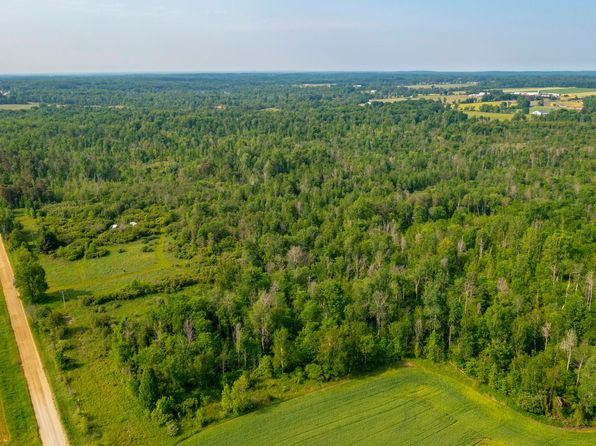 0 Willis Rd, Brown City, MI 48416