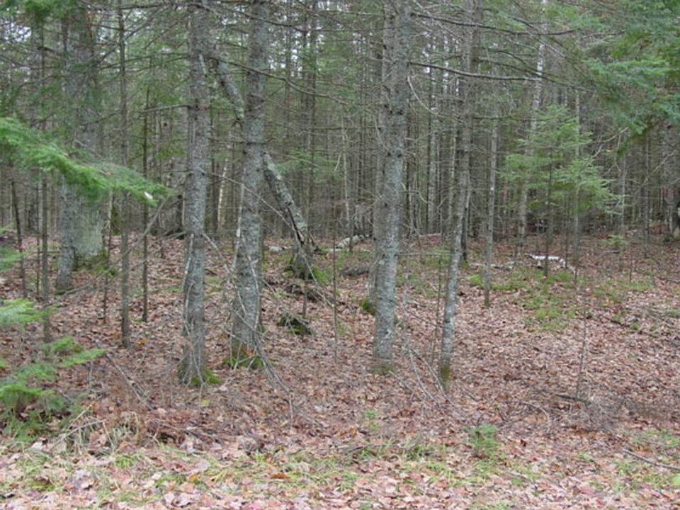 2nd image of ON E BAY RD