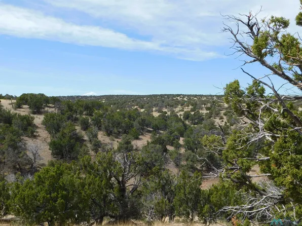 76 Mountain View Ln, Quemado, NM 87829