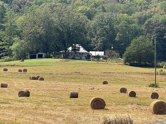 4th image of 356 County Road 526
