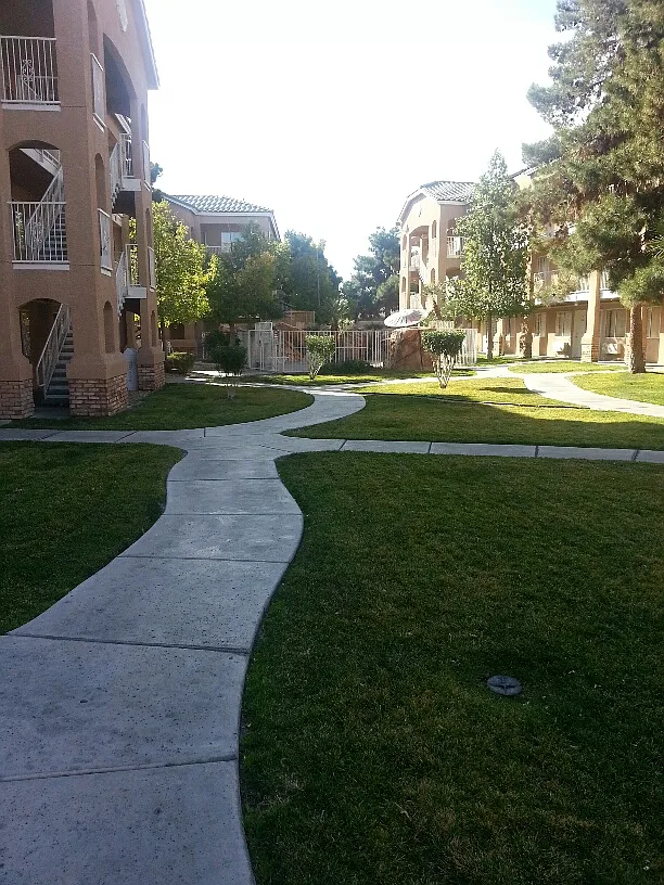 1 bed, 400 sqft, $1,335 — Photo 2