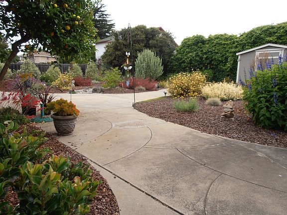 Meyer's Lemons all year round