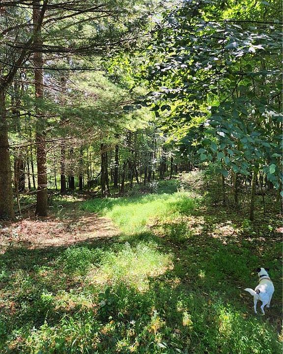 0 Piney Post Office Rd, Sparta, NC 28675 Zillow