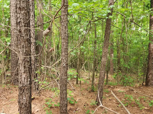 0 Rabbit Farm Rd, Loganville, GA 30052