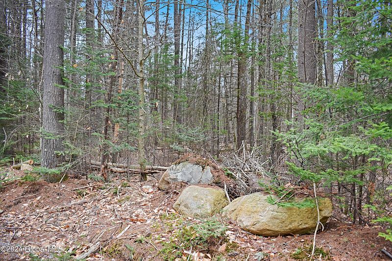 3rd image of L29 Antler Lake Road
