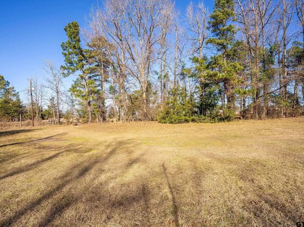 8439 Hyena Rd, Gilmer, TX 75644