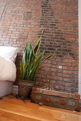 Rented by Anchor Associates | media 25