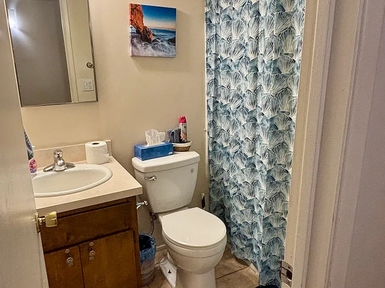hall bath