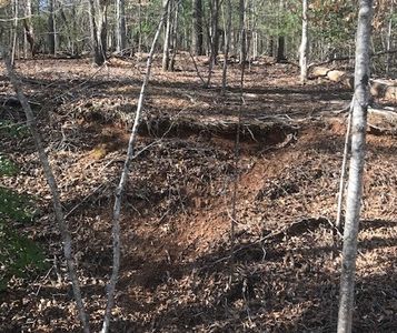 0 Bohannon Dr, Young Harris, GA, 30582